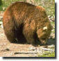 ours