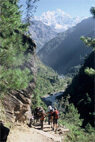 Trek N�pal. � L.Jourjon