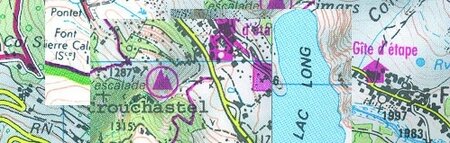 Carto