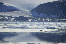 Exp�dition Svalbard 2010
