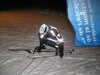 Nocturne Saint-Bernard