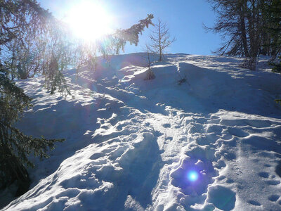 Rando ski Tour - Victor de Cessole 2008 �Alexis De Batz