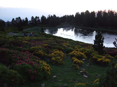 Grand Parcours pyr�n�en au Canigou - juillet 08 �P.Bonnard