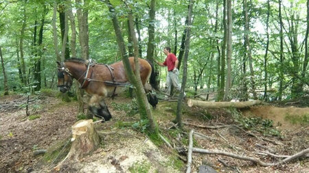 Que la montagne est belle 2008�CAF Pays de Flers
