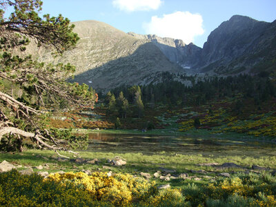 Grand Parcours pyr�n�en au Canigou - juillet 08 �P.Bonnard