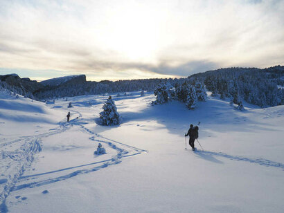 Traversée hivernale des hauts plateaux du Vercors Traversée hivernale des hauts plateaux du Vercors