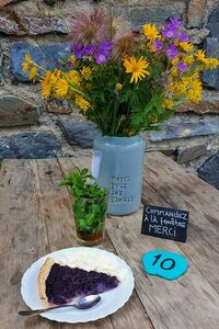 Tarte à la myrtille et menthe-miel Tarte à la myrtille et menthe-miel
